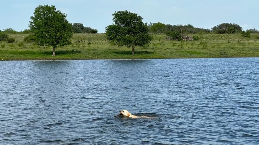 Chital Lakes
