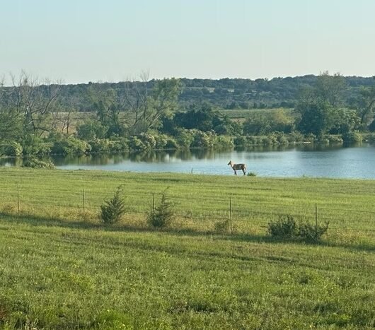 Chital Lakes